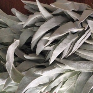 white sage